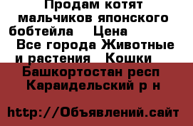 Продам котят мальчиков японского бобтейла. › Цена ­ 30 000 - Все города Животные и растения » Кошки   . Башкортостан респ.,Караидельский р-н